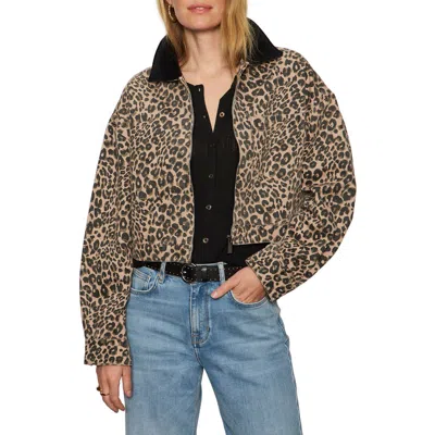 Sanctuary Leopard Print Crop Barn Jacket In Brown