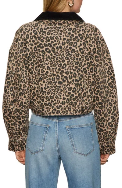 Sanctuary Leopard Print Crop Barn Jacket In Brown