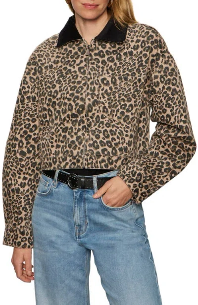 Sanctuary Leopard Print Crop Barn Jacket In Brown