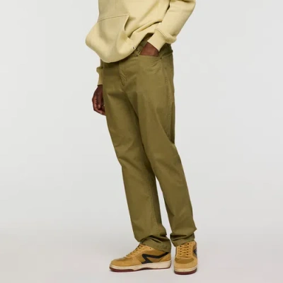 Cotopaxi Ambato Everyday Pant In Green