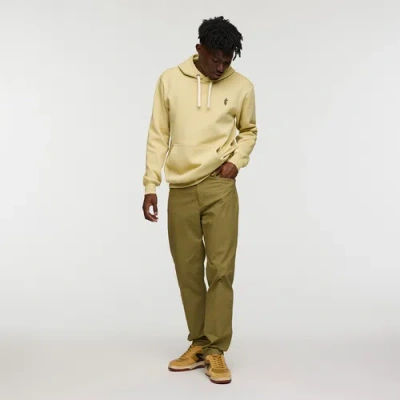 Cotopaxi Ambato Everyday Pant In Green