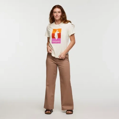 Cotopaxi Ambato Wide Leg Everyday Pant In Brown