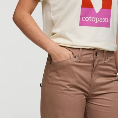 Cotopaxi Ambato Wide Leg Everyday Pant In Brown