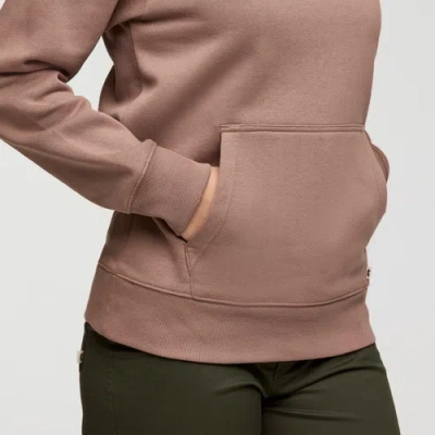 Cotopaxi Llama Patch Pullover Hoodie In Brown