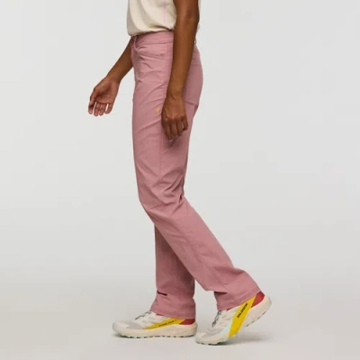 Cotopaxi Coraje Tech Pant In Pink