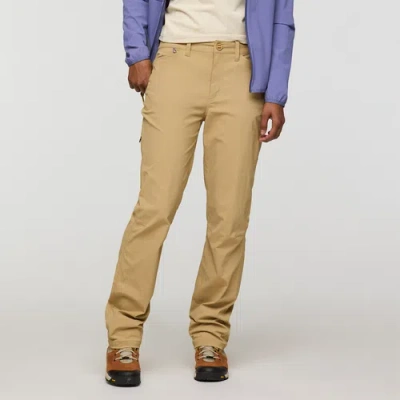 Cotopaxi Coraje Tech Pant In Brown