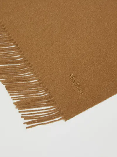 Max Mara Cashmere Stole With Embroidery And Fringing In Brown