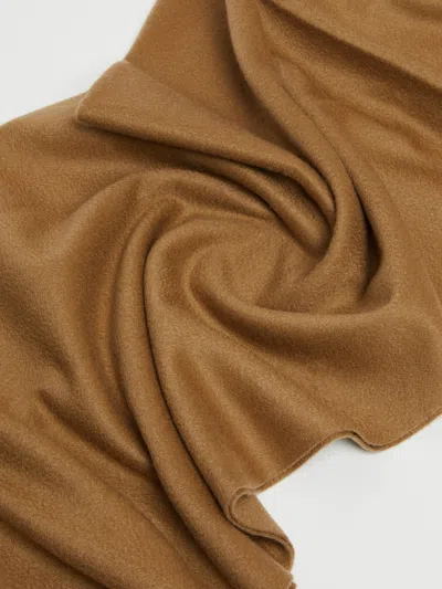 Max Mara Cashmere Stole With Embroidery And Fringing In Brown