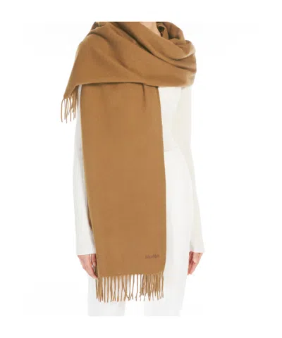 Max Mara Cashmere Stole With Embroidery And Fringing In Brown