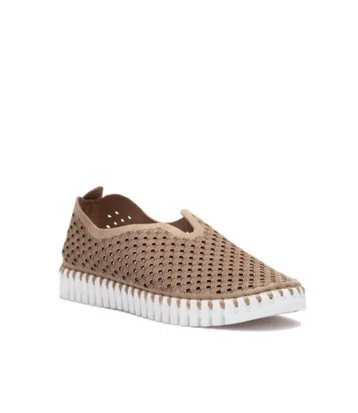 Ilse Jacobsen Women Tulip 139 Slip-on In Taupe