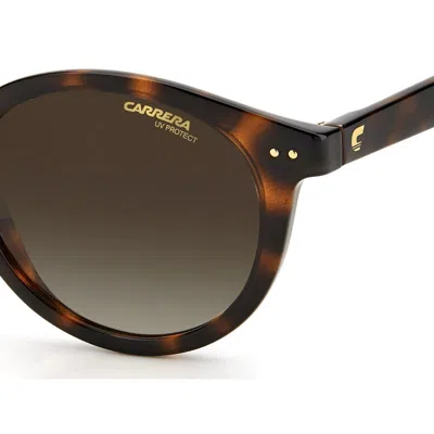 Carrera 2029t/s 086(ha) In Brown