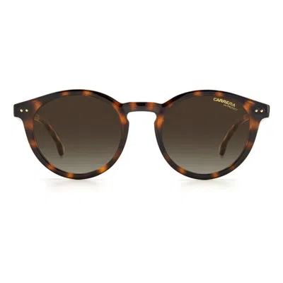 Carrera 2029t/s 086(ha) In Brown