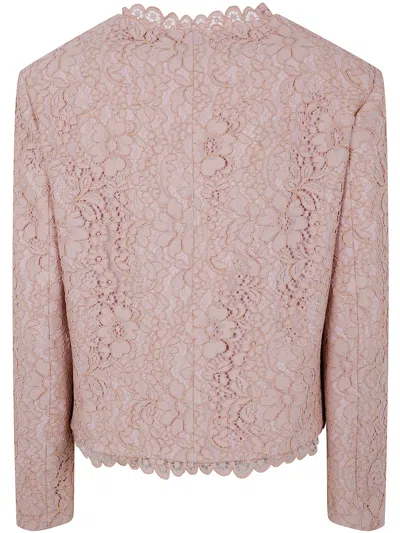 Drhope Classic Jacket In Pink
