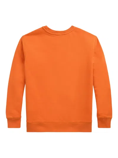 Polo Ralph Lauren Toddler And Little Boys French Terry Sweatshirt In Orange