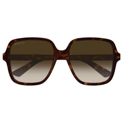 Gucci Havana Acetate Sunglasses