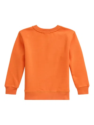 Polo Ralph Lauren Polo Pony-embroidered Sweatshirt In Orange