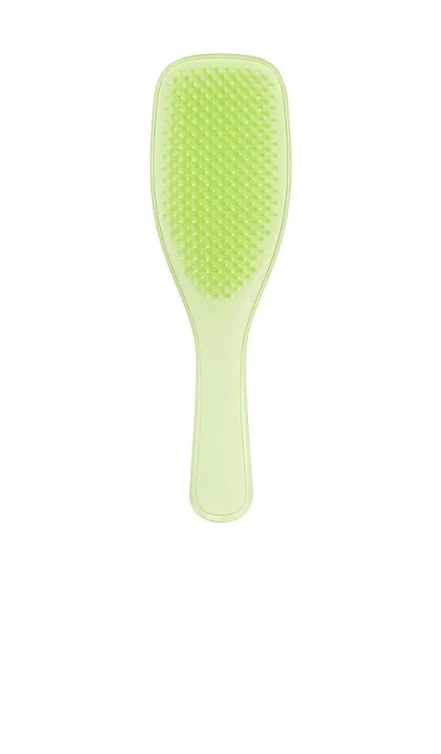 Tangle Teezer The Plant Brush For Fine & Fragile Hair
