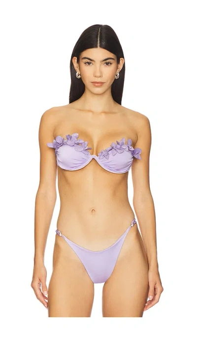 Ancora Thalamos Bikini Top In Purple