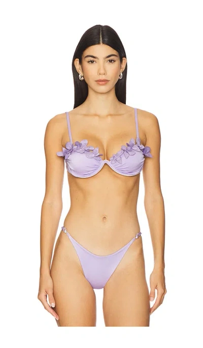 Ancora Thalamos Bikini Top In Purple