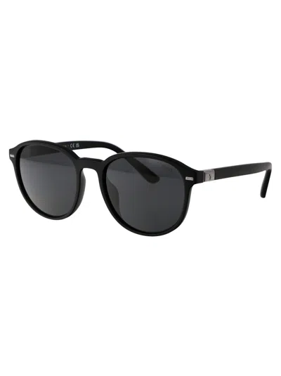 Polo Ralph Lauren Matte Black Injected Sunglasses In Black