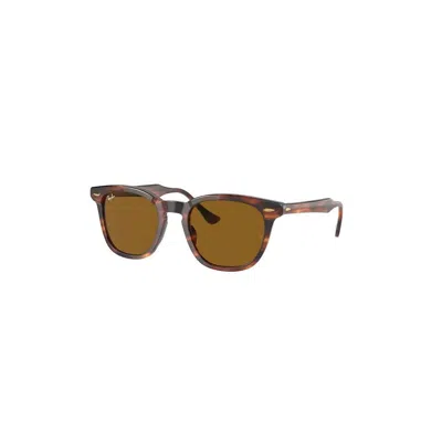Ray Ban Men's Ray-ban Hawkeye Rb2298 954/33 Sunglasses In Brown