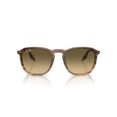 Ray Ban Rb2203 Sunglasses Striped Brown Frame Brown Lenses 55-20 In Brown