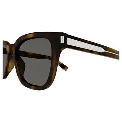 Saint Laurent Logo Sunglasses In Brown