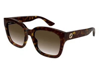 Pre-owned Gucci Women's  Square Sunglasses In Havana (gg1338s 003)