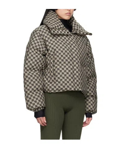 Misbhv Monogram-print Cropped Puffer Jacket In Brown