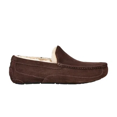 Pre-owned Ugg Ascot Slipper 'espresso' | Brown | Men's Size 9