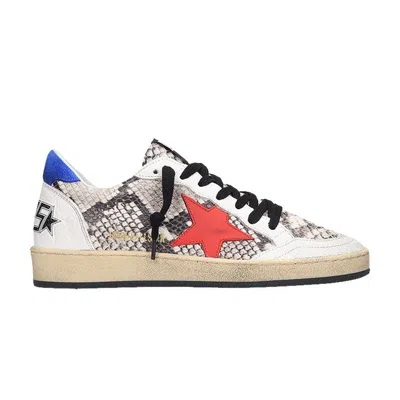Pre-owned Golden Goose Ball Star 'python Red' | Men's Size 38