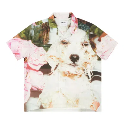 Pre-owned Palace Juergen Teller Shirt 'multicolor' | Multi-color | Men's Size Xl