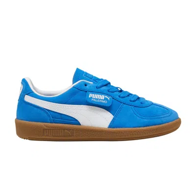 Pre-owned Puma Palermo Big Kid 'hyperlink Blue Gum' | Kid's Size 7