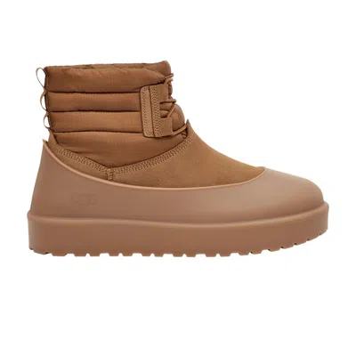 Pre-owned Ugg Classic Mini Lace-up Weather Boot 'chestnut' | Brown | Men's Size 10