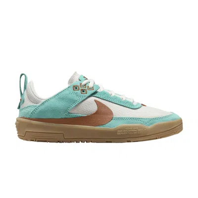 Pre-owned Nike Day One Sb Gs 'green Frost Dark Russet' | Teal | Kid's Size 5