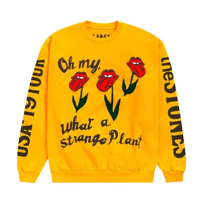 Pre-owned Cactus Plant Flea Market Rolling Stones No Filter Tour Sweatshirt 'gold' | Yellow | Men's Size S