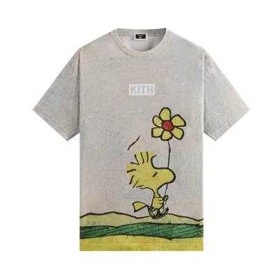 Pre-owned Kith For Peanuts Woodstock Comic Vintage Tee 'chalk' | Grey | Men's Size S