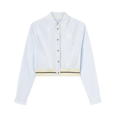 Pre-owned Palm Angels Palms Stripes Crop Shirt 'light Blue' | Women's Size 40