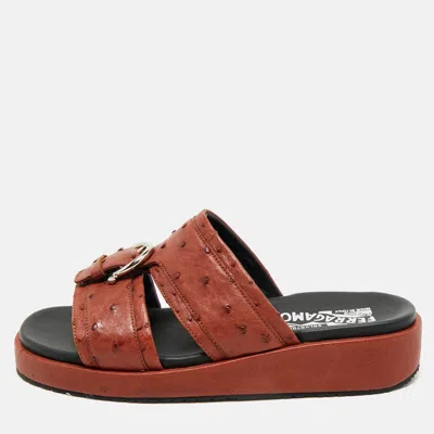 Pre-owned Ferragamo Brown Ostrich Lutfi Platform Slides Size 40.5