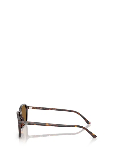 Ray Ban Raimond Sunglasses