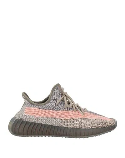 Adidas X Yeezy Man Sneakers Taupe Size 5.5 Textile Fibers In Multi