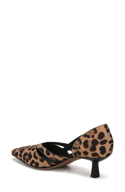Sarto By Franco Sarto Roselyn Kitten Heel Pump