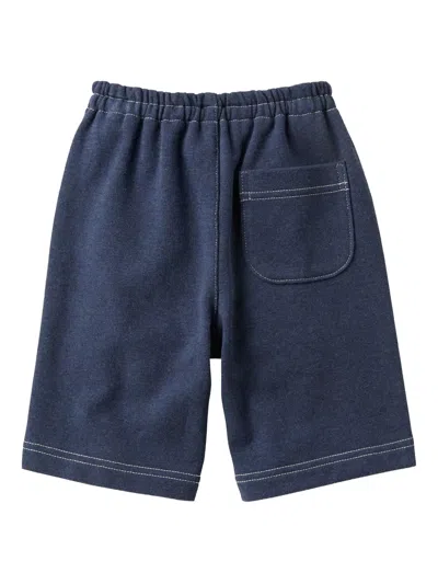 Familiar Embroidered Shorts In Blue