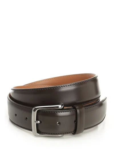 Tod's New Basic Belt P.35 Calf Cinture Belts Brown In Black