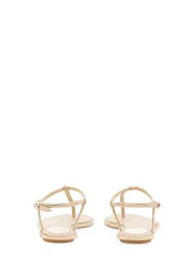 René Caovilla Sandals