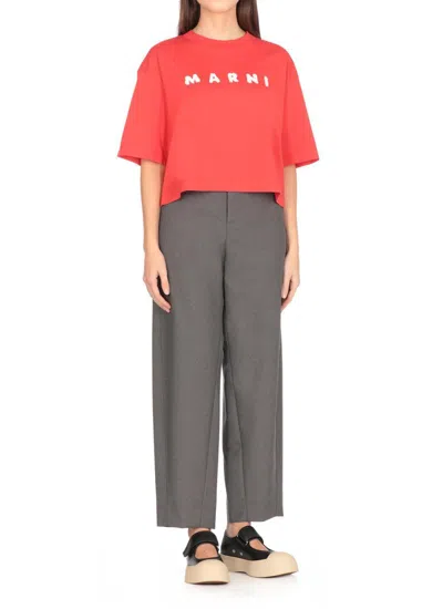 Marni T-shirts And Polos In Red