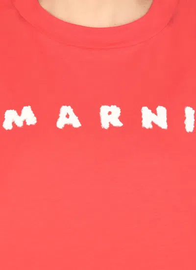 Marni T-shirts And Polos In Red