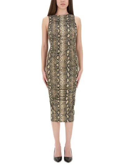 Michael Kors Snake Print Sleeveless Midi Dress In Green