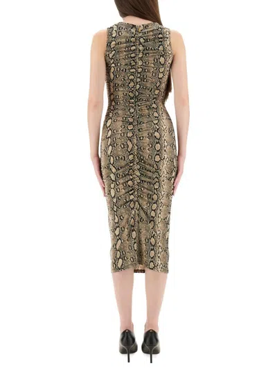 Michael Kors Snake Print Sleeveless Midi Dress In Green