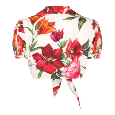 Dolce & Gabbana Anemone Floral Popeline Puff-sleeve Tie Crop Shirt
